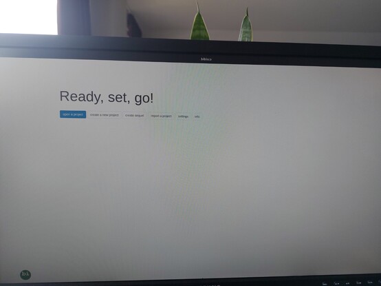 Openingsscreen of bibisco, a writing software