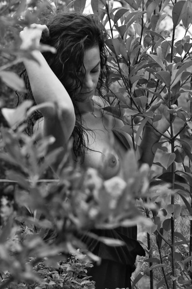 Un été dans le sud...