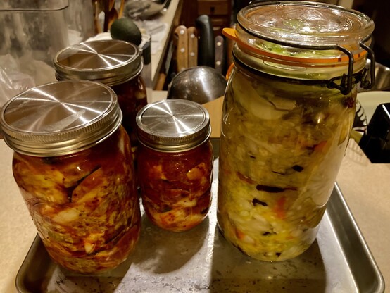 Jars of freshly-made Kimchi and Sauerkraut.