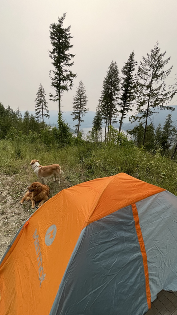 View of the lake from my camp spot 