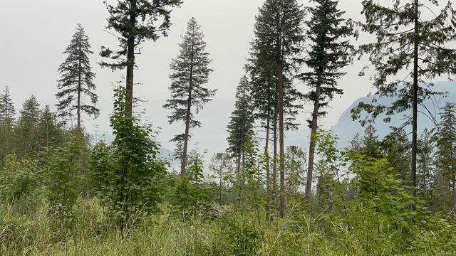 View of the lake through a thick haze of smoke in the early morning