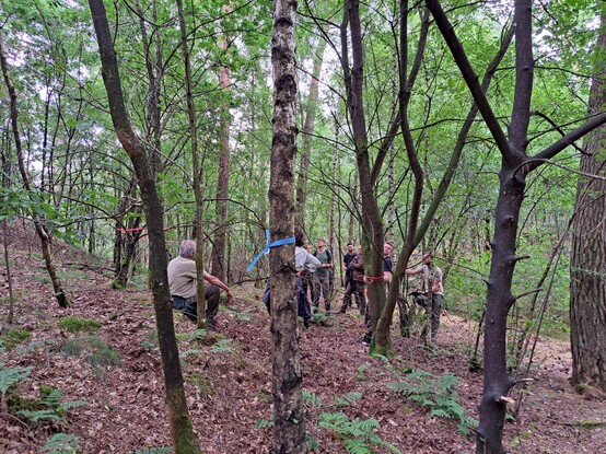 Blesoefening in het bos