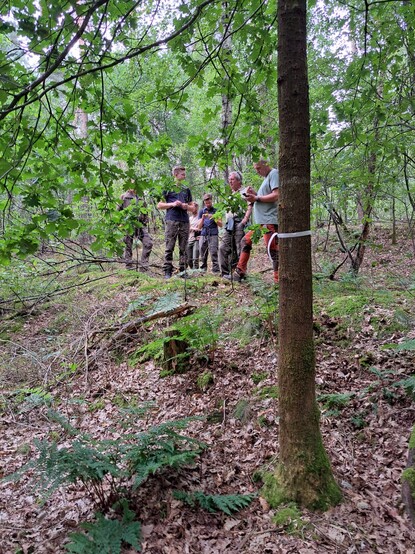 Door de deelnemers gekozen toekomstboom