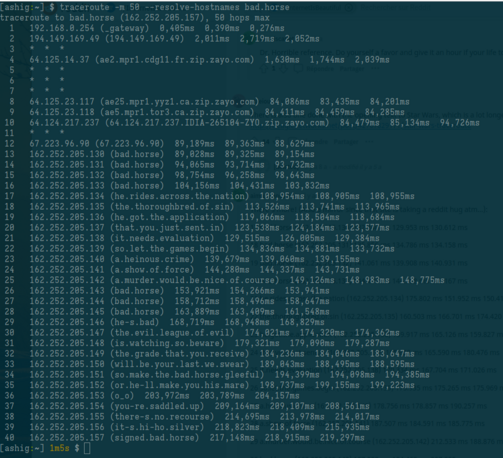 La commande traceroute vers le domaine bad.horse dans un terminal linux.

Chaque ligne de réponse affiche un nom de domaine qui est en fait un vers de la chanson "Bad horse chorus".