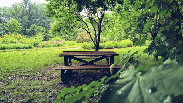 Qué linda mesa de picnic tras la cerca.