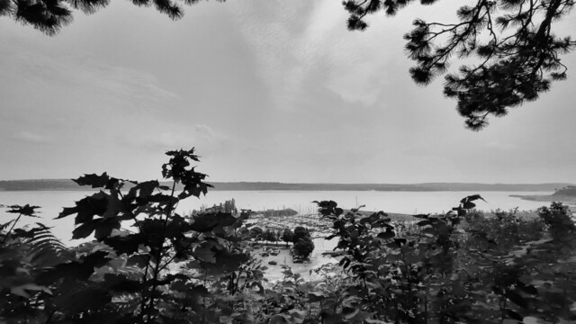 Vista en b/n de la marina de Sillery. Cruzando el río San Lorenzo, Lévis.