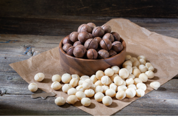 Several shelled and unshelled macadamia nuts.