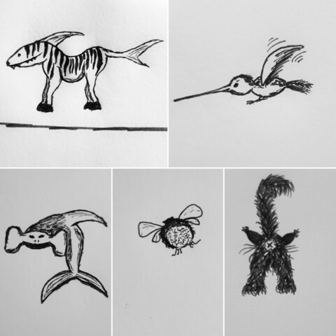 Collage von bisschen lustigen Skizzen mit schwarzem Fineliner
links oben ein Zebrahai: Haikopf, - rückenflosse und -schwanz, Rest Zebrakörper
rechts oben ein Kolibri von der Seite
links unten der Versuch eines Hammerhai
unten Mitte ne Hummel von hinten
rechts unten ne Perserkatze von hinten