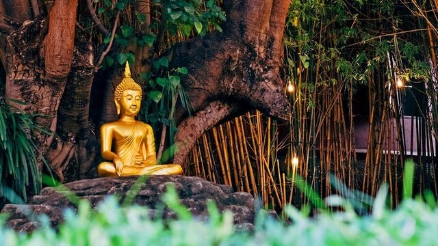 Gold Buddha statue sitting under a tree.