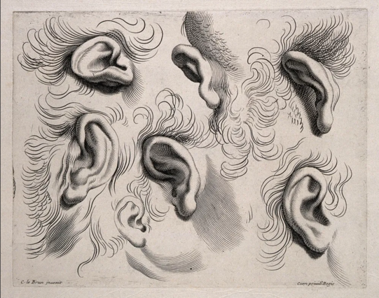 Engraving: Charles Le Brun featuring 6 different ears and hair in black on light brown background.