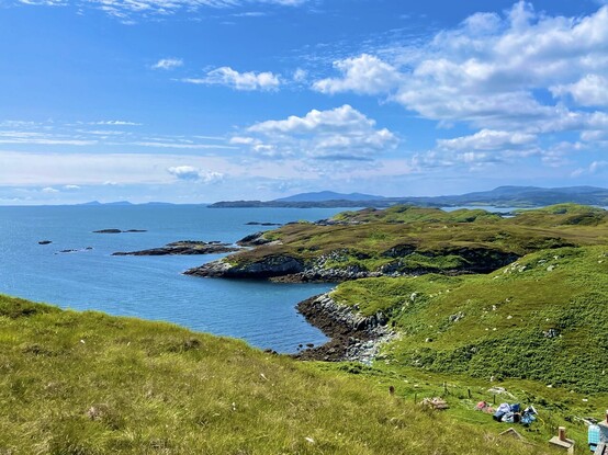 A part of the West Hybrides, a rough landscape, green grass and some cottonflowers. The sea and the sky are deep bluw, some lovely little clouds on the sky.