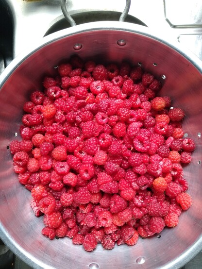 A colander full of rinsed raspberries.