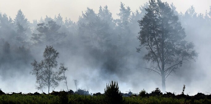 Thick smoke rises from a peat bog fire in June 2023. Bernd Wüstneck/picture alliance via Getty Images