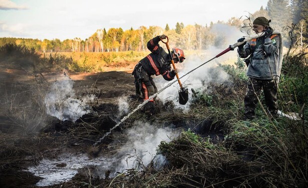 Thick smoke rises from a peat bog fire in June 2023. Bernd Wüstneck/picture alliance via Getty Images