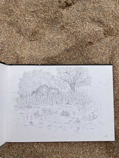 La vue vers les plantes qui poussent fans le sable et les arbres juste deri