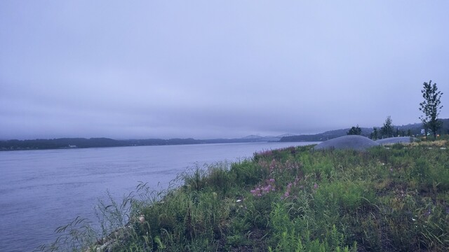 «Le fleuve d'espoir». Calma junto al río San Lorenzo, frescura, aves que pasan, una ciclovía, vegetación, flores salvajes.