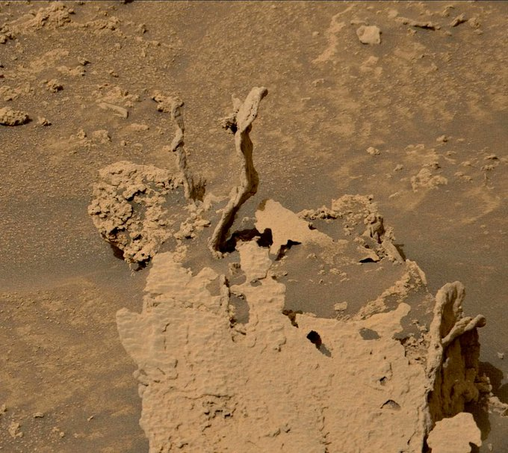 The SETI Institute
@SETIInstitute
·
Follow
#PPOD: Here is another cool rock at Gale crater on Mars! The spikes are most likely the cemented fillings of ancient fractures in a sedimentary rock. The rest of the rock was made of softer material and was eroded away. 📷: @NASA @NASAJPL @Caltech #MSSS fredk, acquired on May 17.