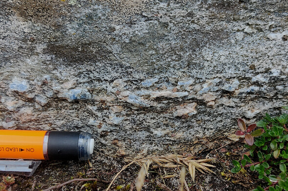 An orange plastic propelling pencil (on the lower left) and a wee cluster of bearberry leaves (lower right) provide the scale for a lovely close up picture of a rock layer made of pale pink and pale blue crystals running horizontally across the centre of the image. Above t his layer, the rocks are speckeld grey, and crusted with lichen.