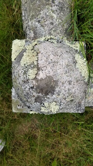 Lichen covered plot wall