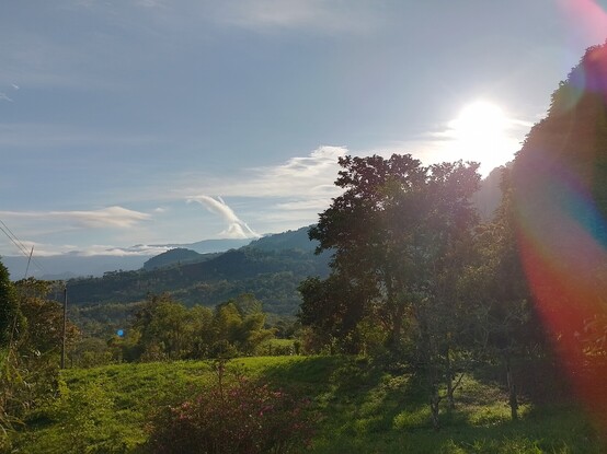 Landscape photos, no filters, the flares are natural