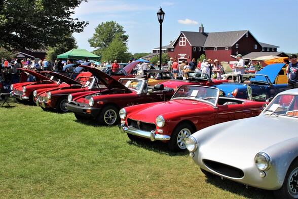 A line of brightly colored MG Midgets in the sun on a grassy lawn with a barn-like structure behind.