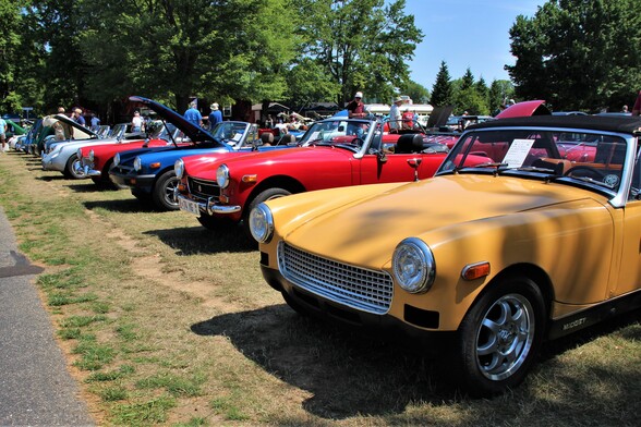 A line of brightly colored MG Midgets in the sun on a grassy lawn with a walkway in front and trees behind.