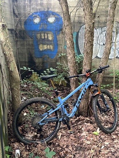 Mountain bike leaning on some trees under a bridge, on which is graffiti’d a blue skull.