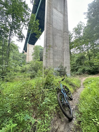 Mountain bike leaning on its side on a lush single track trail that passes under a very tall concrete bridge.