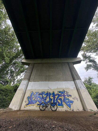 Mountain bike leaning against a graffiti’d concrete bridge support. The underside of the roadway is visible above.