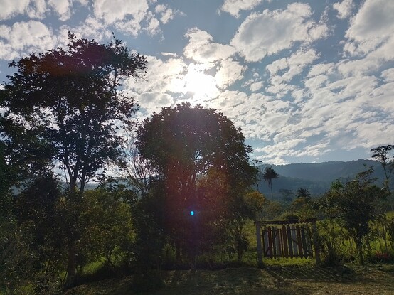 Landscape photos, no filters, the flares are natural.
#beautifullandscapes #beautifulnature #blueskies #bluesky #blueskyphotography #clouds #cloudscape  #flares #landscape #landscapes #landscapephotography #mountain #nature #naturelovers #naturephotography #sky #trees