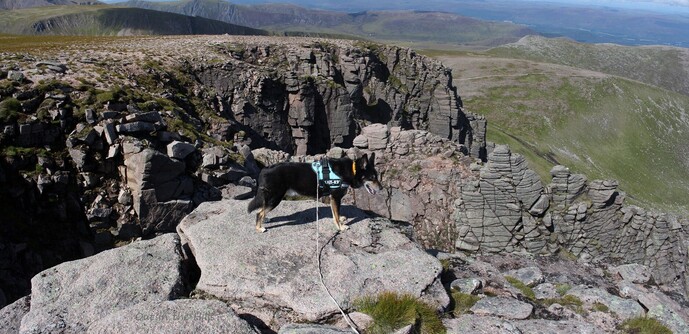 Moray the dog stood on a rock, looking down onto granite crags. More hills in the background.