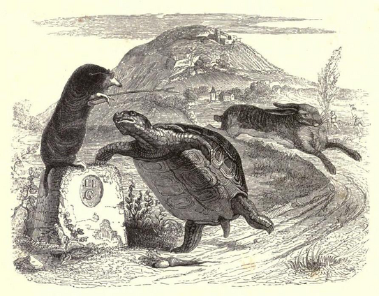 Illustration of The Tortoise and the Hare featuring the tortoise crossing the finish line with the hare unable to catch up to him