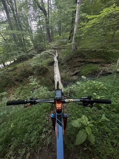 Mountain bike, from the rider’s perspective, showing handle bars and the front of the frame. It is pointing at a deep gulley with a log across it. Surrounding area is lush forest. There are two stickers in the bike’s handlebars. The left one reads #DontRideThatRuss. The right one says JRA Cycles.