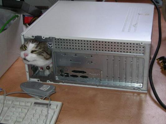 A cat is inside an old computer case.