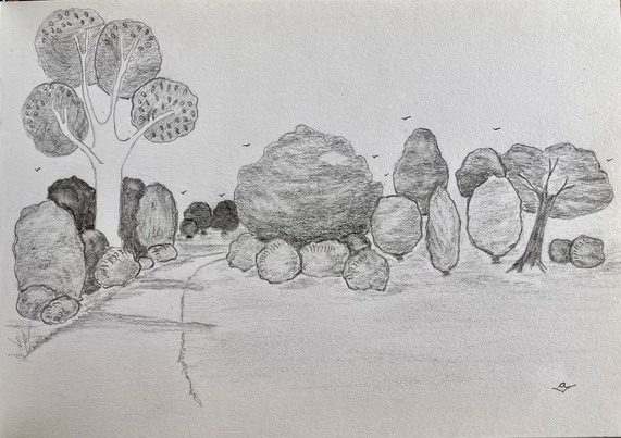 Dessin en noir et blanc, on y voit un chemin qui s’enfonce dans le bois et des arbres plein la vue. 