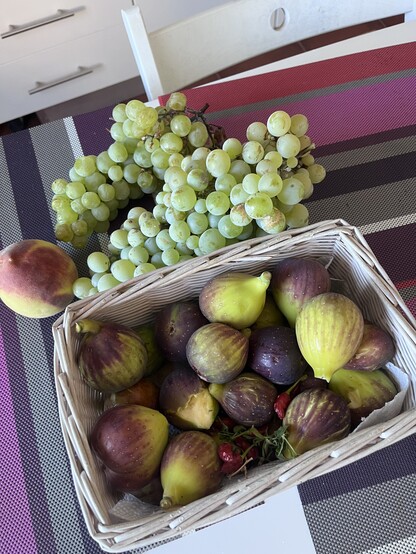 Figs, grapes and peaches from the backyard 
