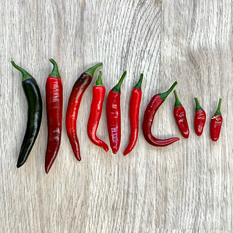 A row of red and green chilipepers, shown from biggest to smallest on a light wooden background.