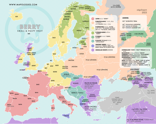 etymology map of the word berry