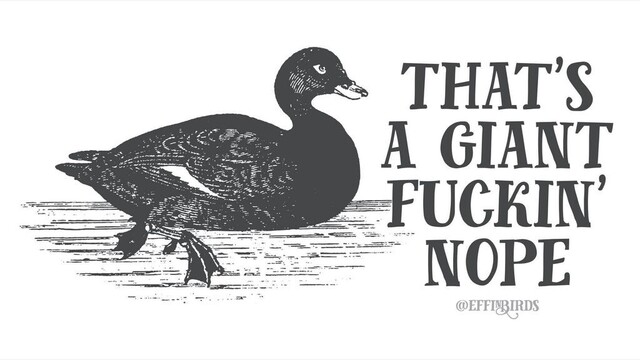 A woodcut of a duck beside the text "that's a giant fuckin' nope"