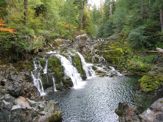 A beautiful cascade in the forest tumbling over basalt