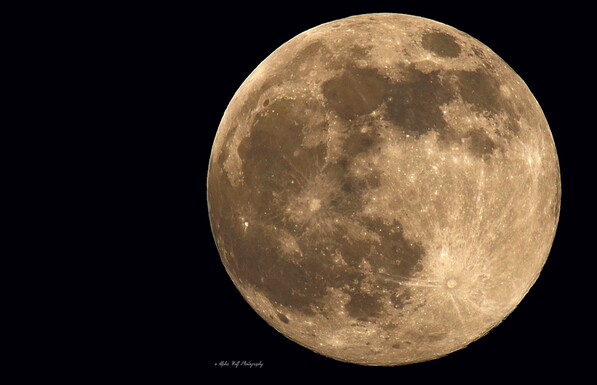 Der Vollmond 
Fullmoon