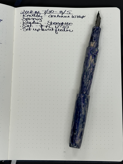 Fountain pen laying on top of an open journal.