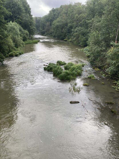 Vantaanjoen Pitkäkoski sillalta kuvattuna alajuoksulle päin, metsä ympäröi koskiuomaa