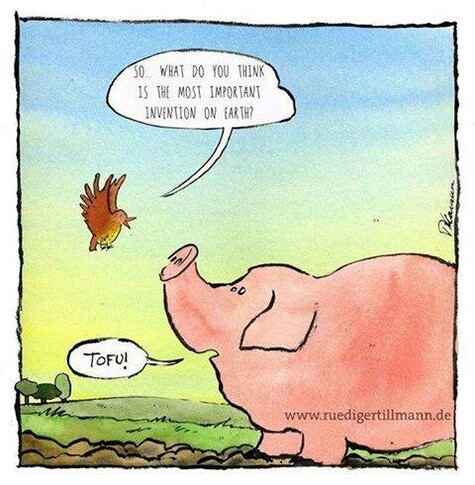 Cartoon: Bird says 'So... what do you think is the most important invention on earth?'
Pig replies: 'Tofu!'