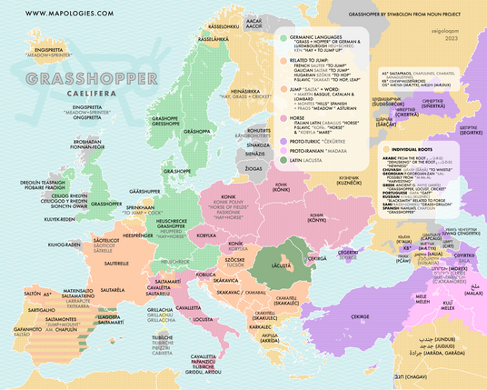 grasshopper in other languages and the etymologies