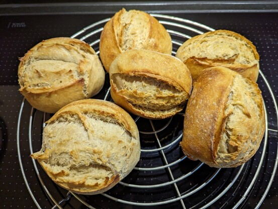 Frisch gebackene Brötchen