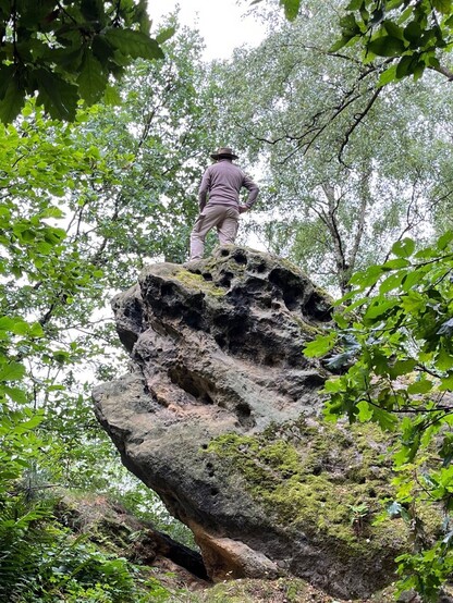 Foto eines großen Felsblocks, der jenem auf Caspar David Friedrichs Skizze und Gemälde entspricht, aber in vergleichsweise dichtem Wald steht. Obenauf eine Person (ja, ich) in der Pose des Wanderers über dem Nebelmeer.