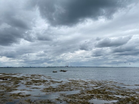 Dublin bay with Poolbeg chimneys. There are lots of dark clouds and a few birds.