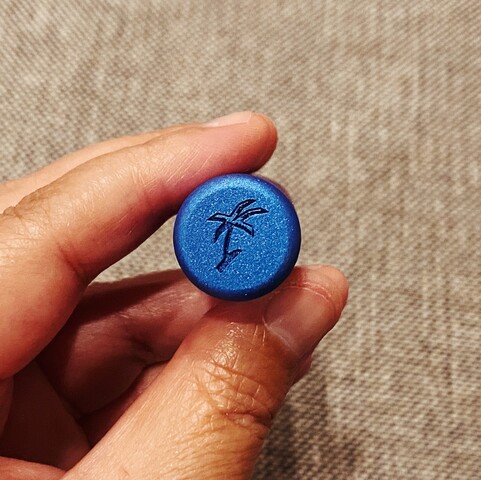 Closer up picture of the blue top of the cap with the palm tree logo engraved