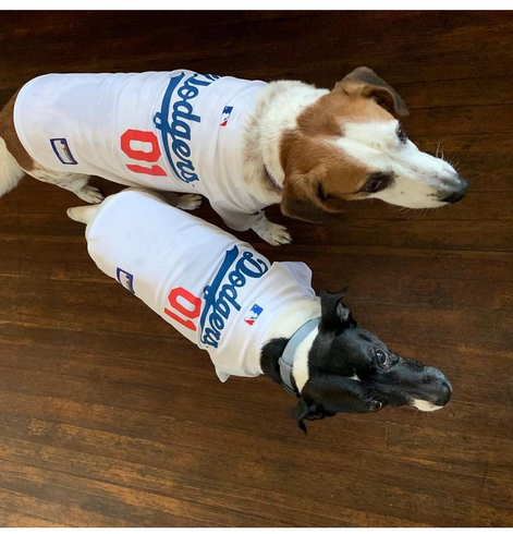 Dogs who are Dodgers fans